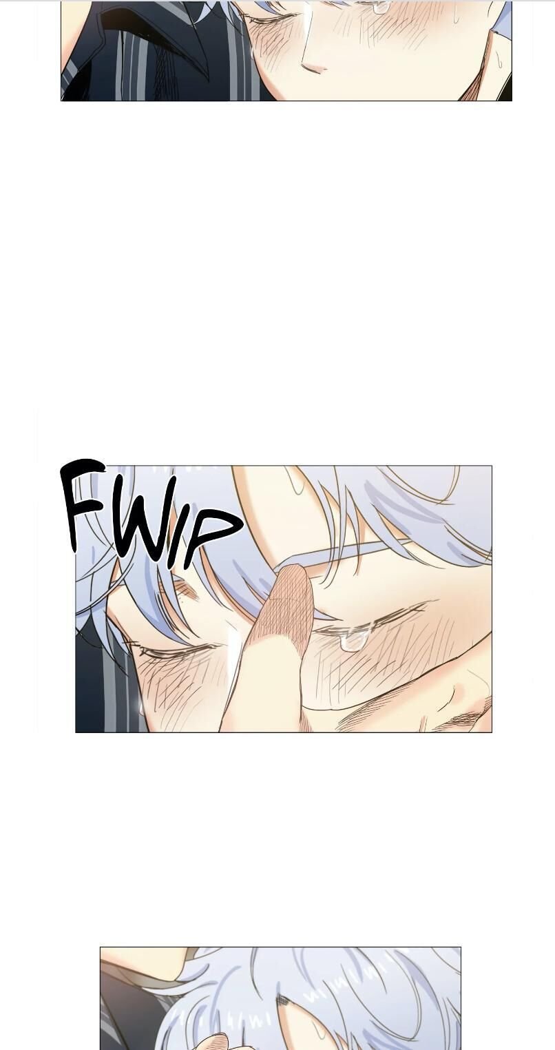 Page 19 of Chapter 15