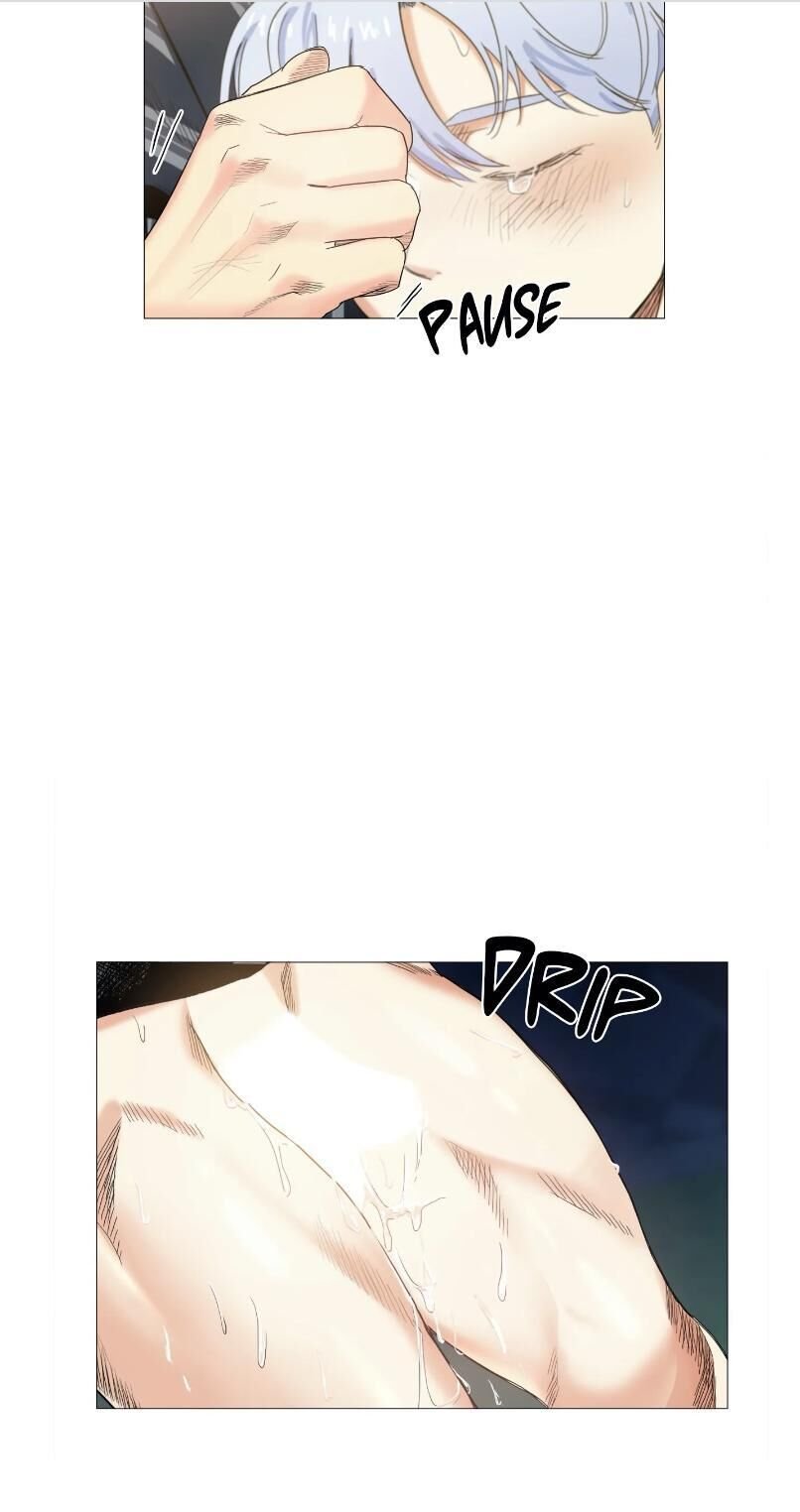 Page 20 of Chapter 15
