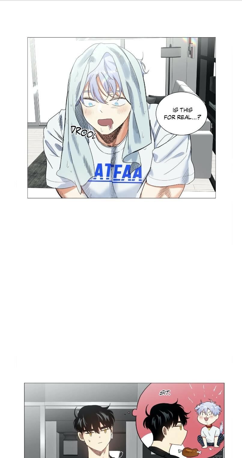 Page 30 of Chapter 15
