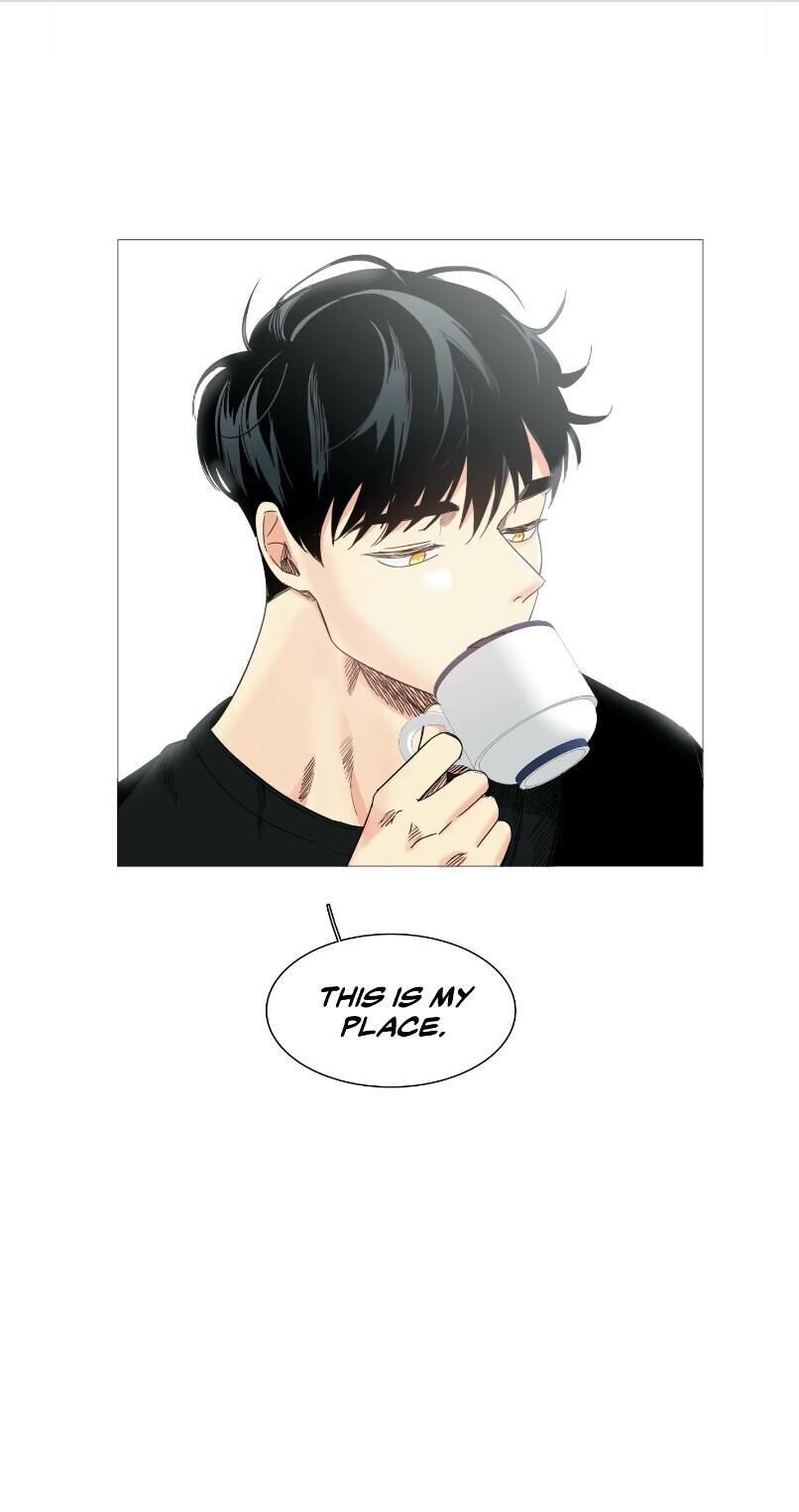 Page 38 of Chapter 15