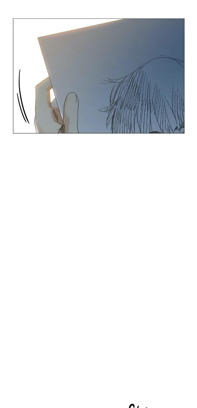 Page 19 of Chapter 17