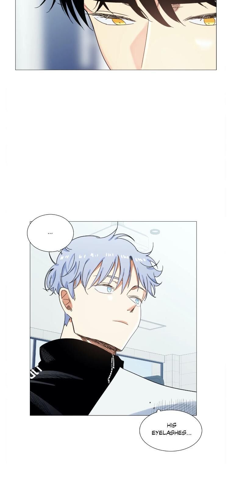 Page 23 of Chapter 17