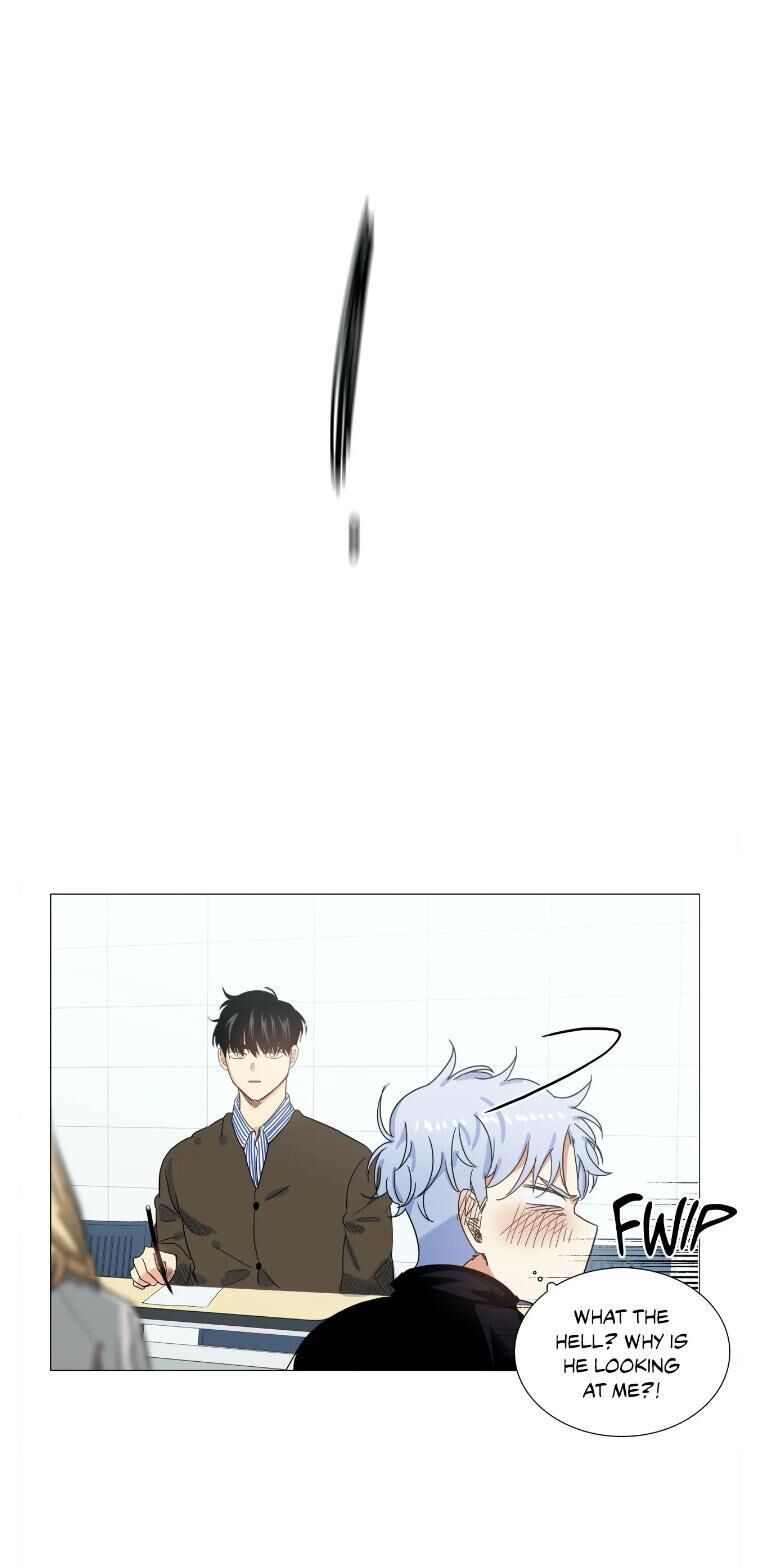 Page 31 of Chapter 17
