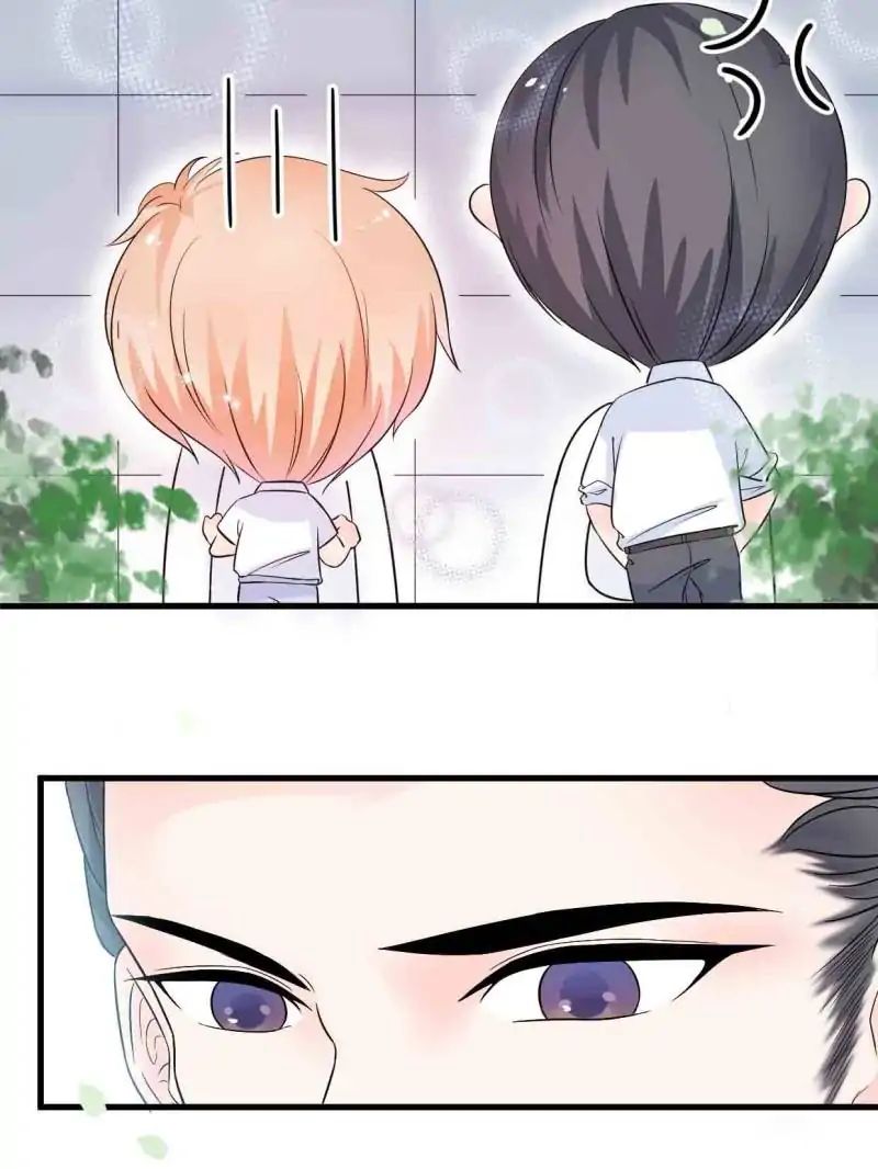 Page 5 of Chapter 12