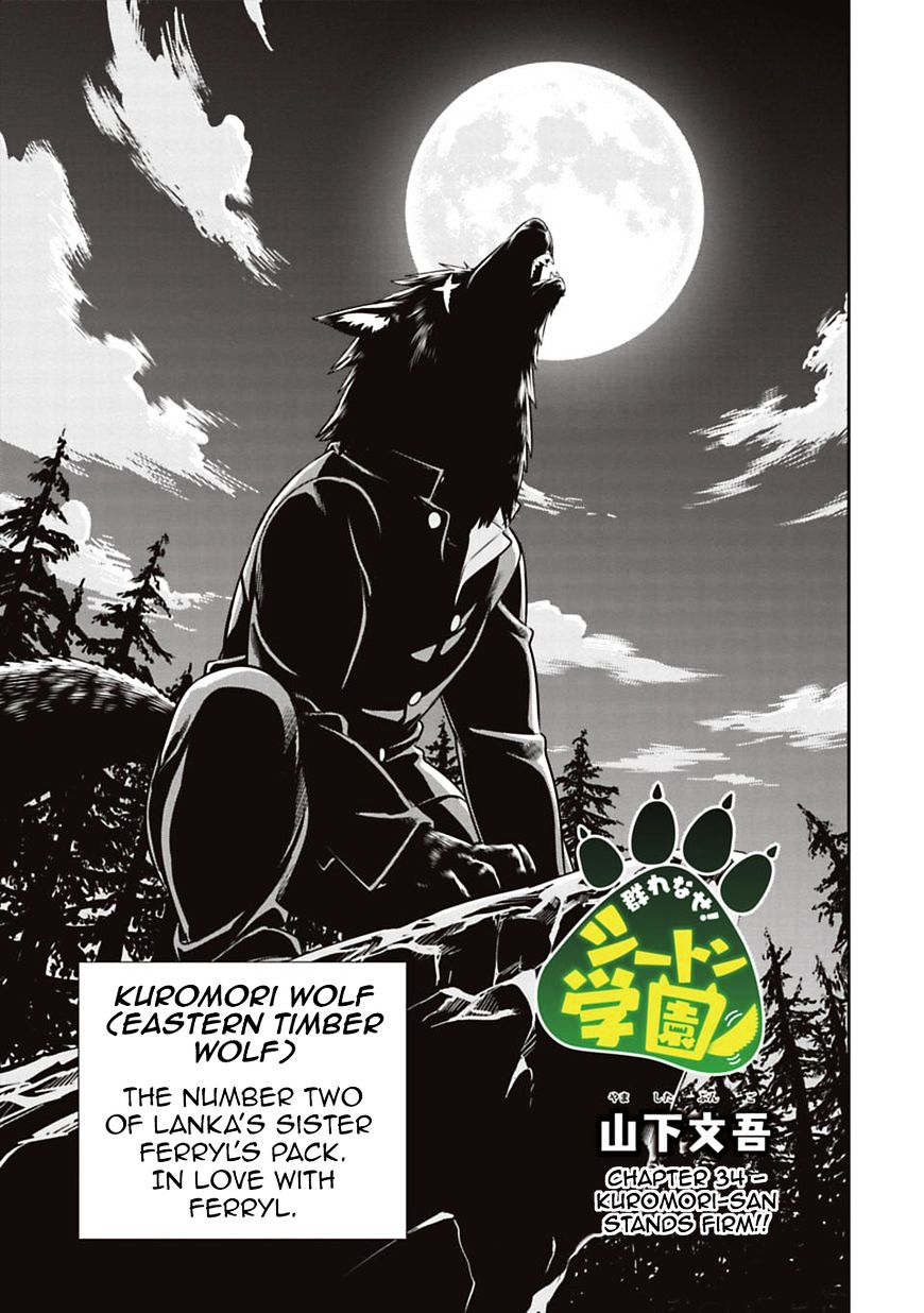 Page 3 of Chapter 34