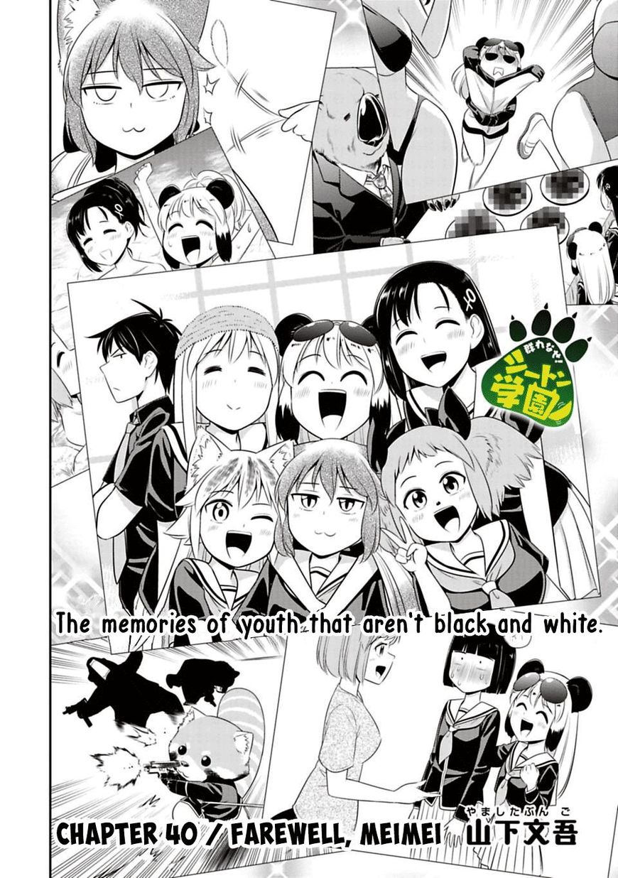 Page 2 of Chapter 40