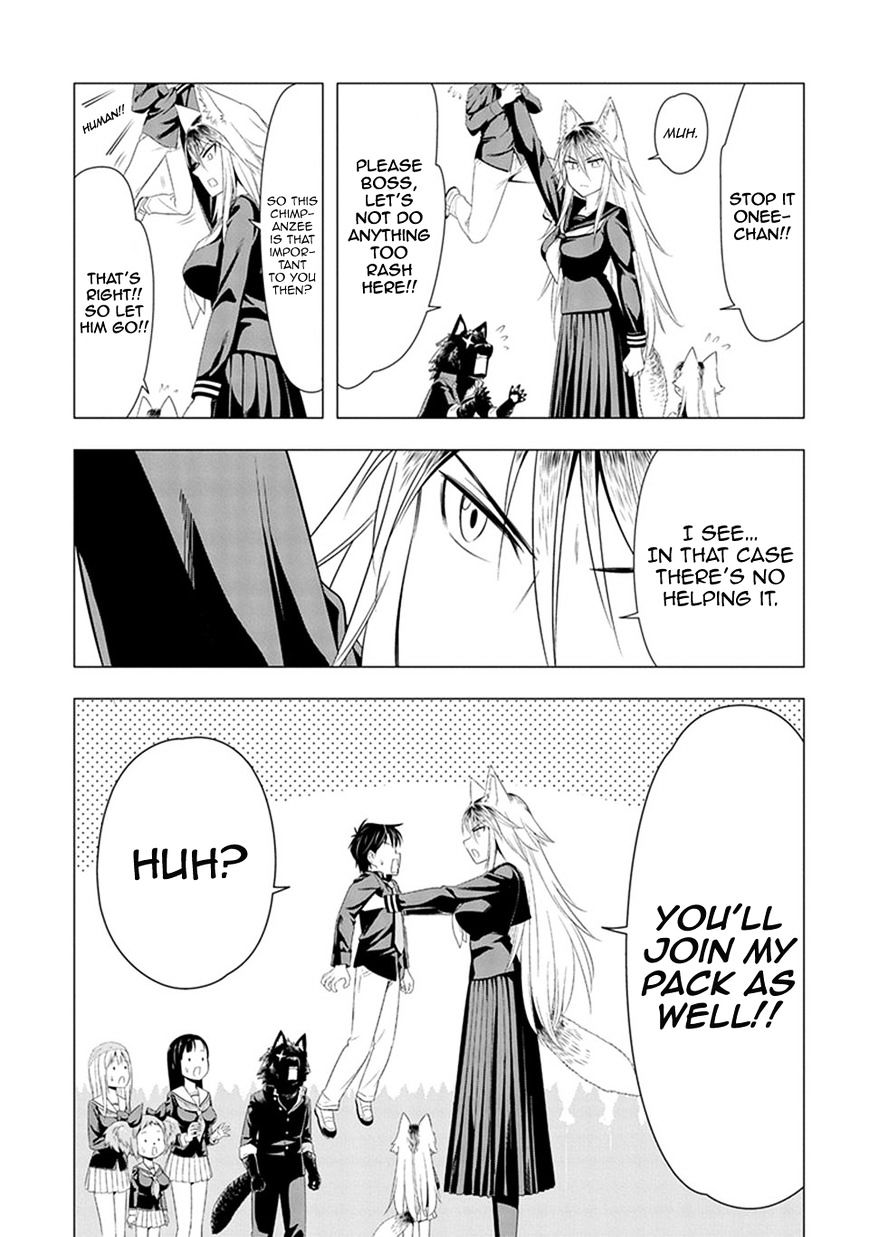 Page 13 of Chapter 6