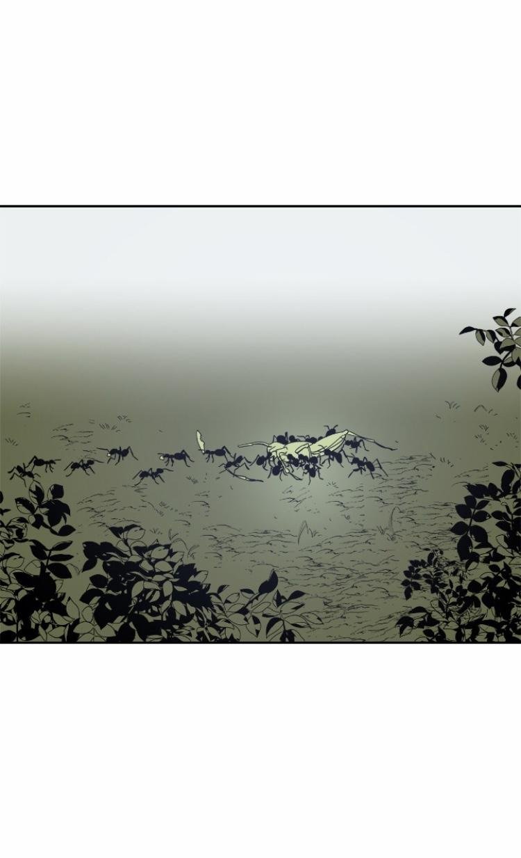 Page 36 of Chapter 38