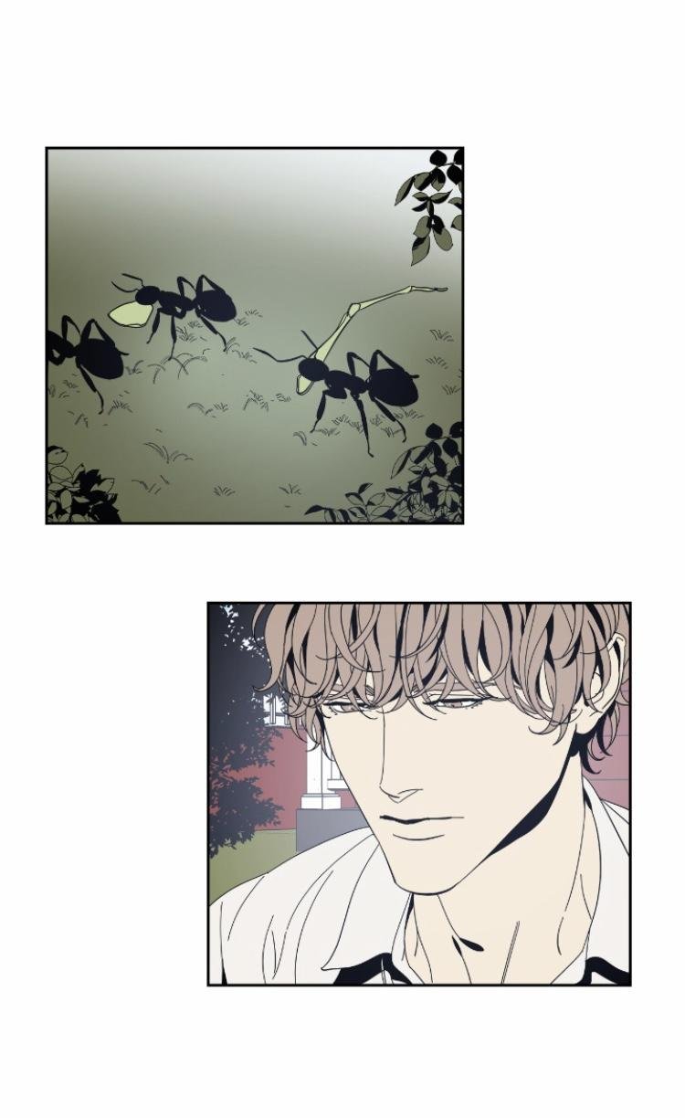 Page 37 of Chapter 38