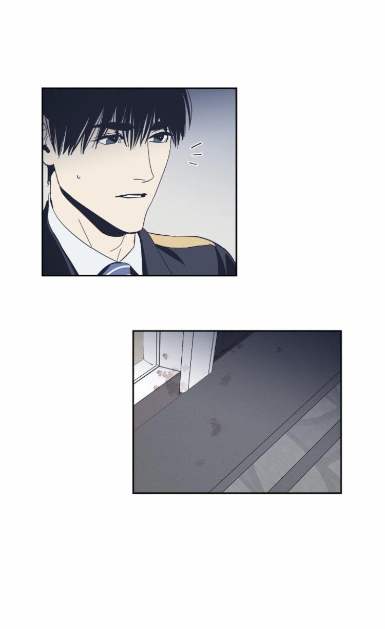 Page 41 of Chapter 40