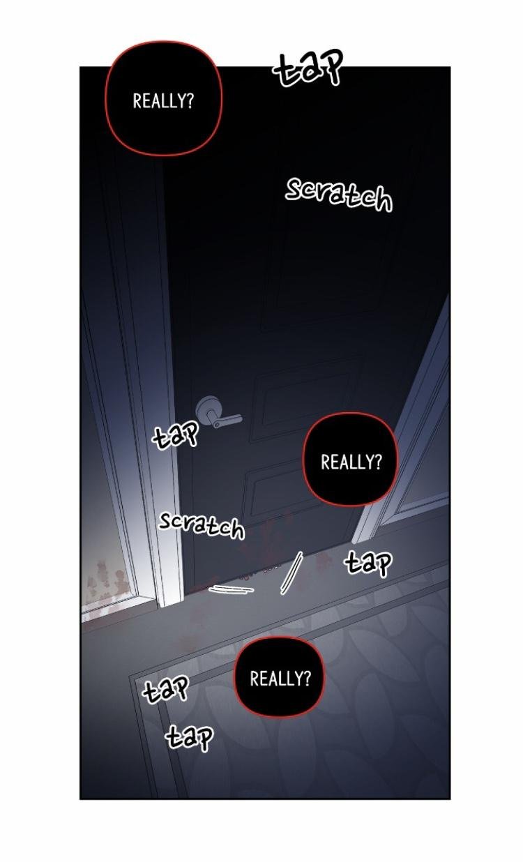 Page 11 of Chapter 41