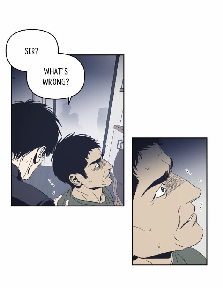Page 20 of Chapter 41