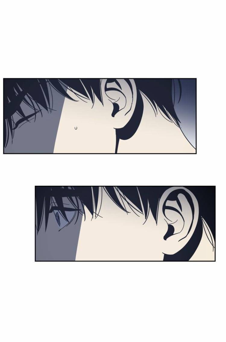Page 28 of Chapter 55