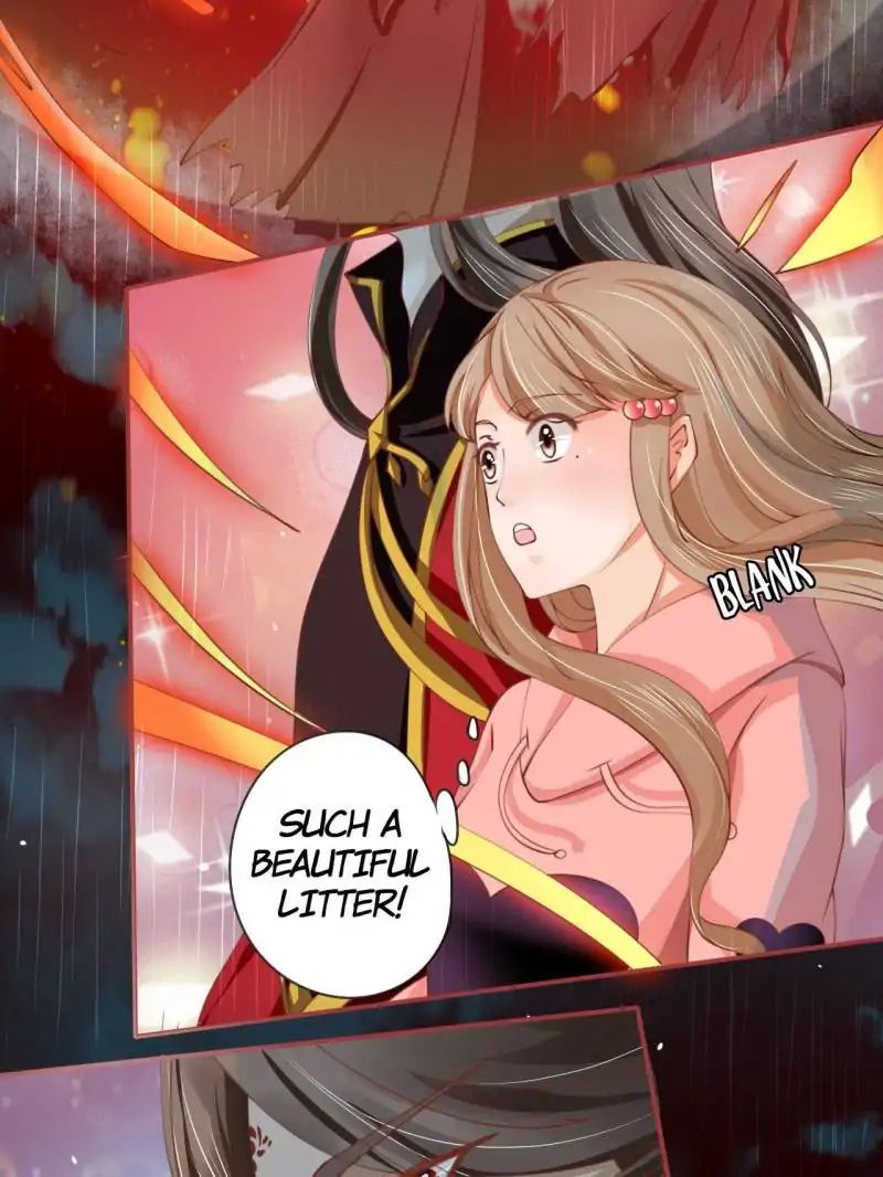 Page 38 of Chapter 17