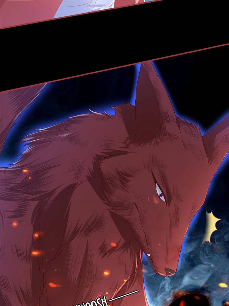 Page 14 of Chapter 204