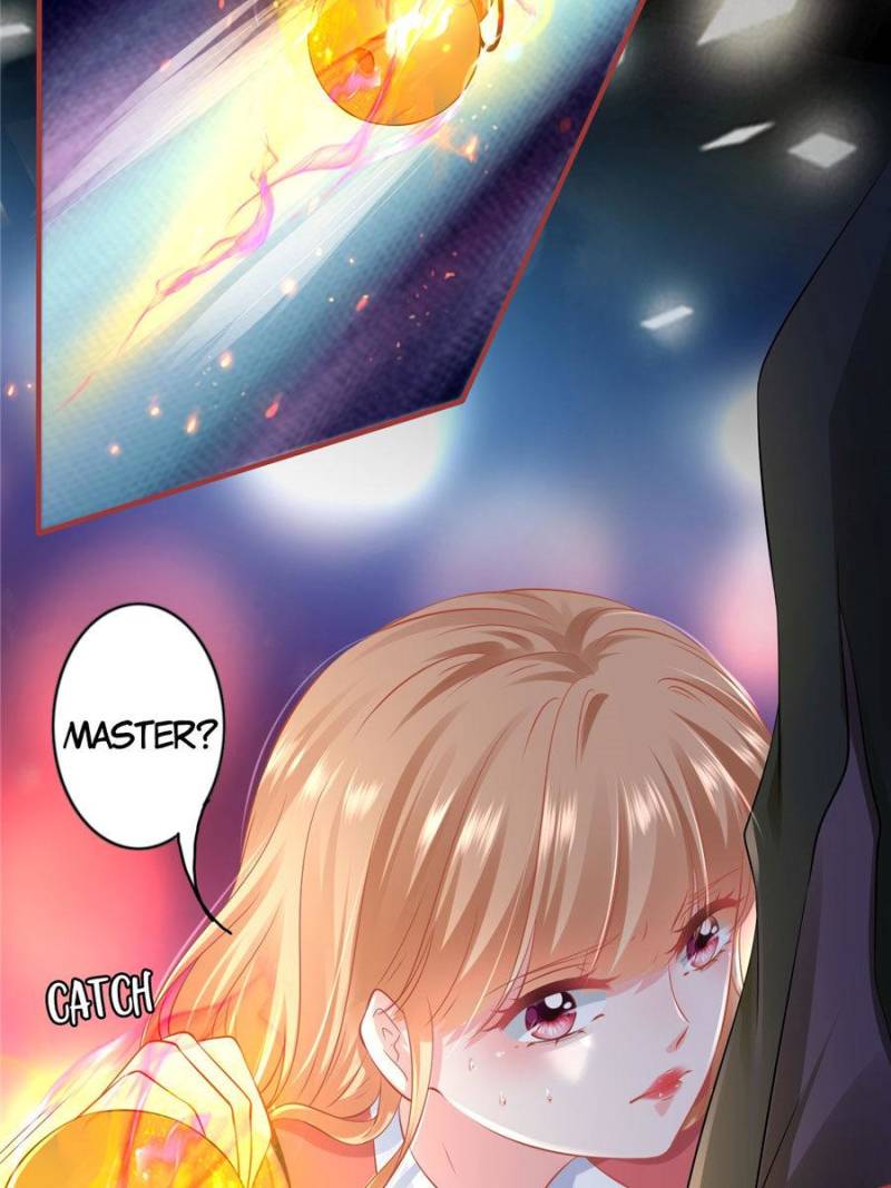 Page 41 of Chapter 207