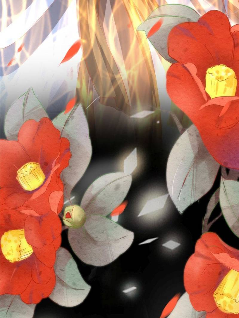 Page 35 of Chapter 210