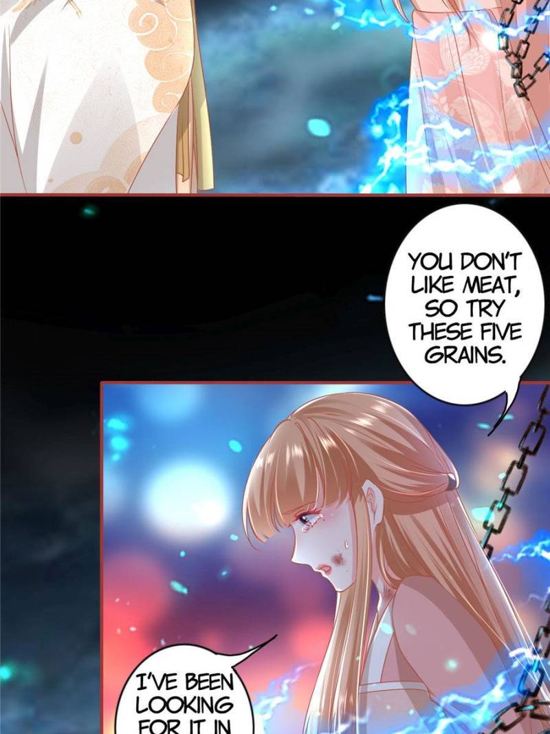 Page 40 of Chapter 213