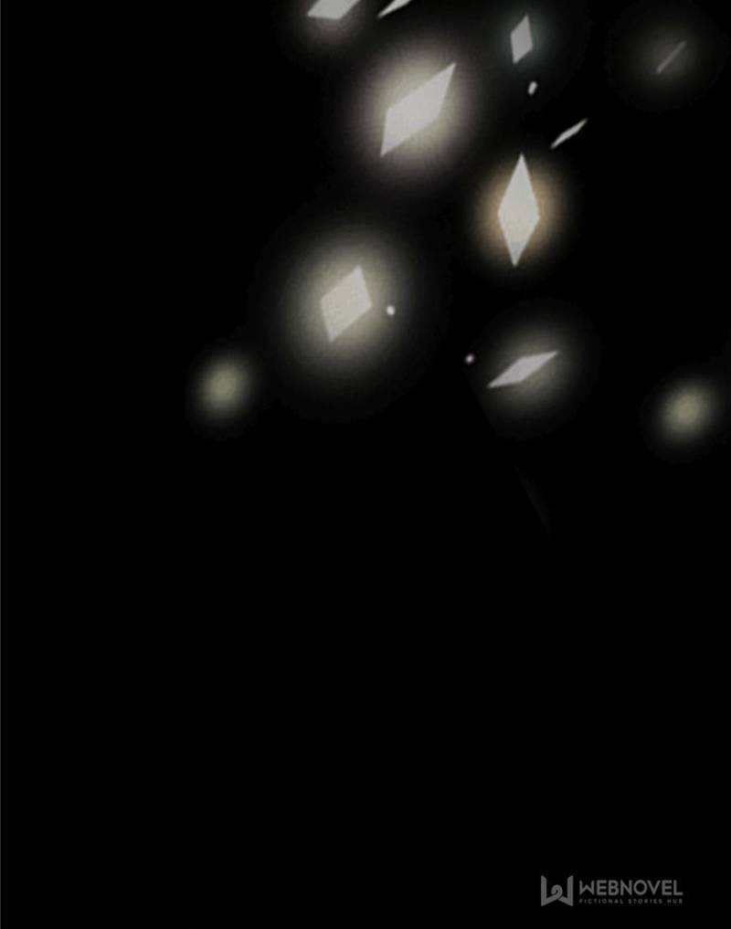 Page 47 of Chapter 217