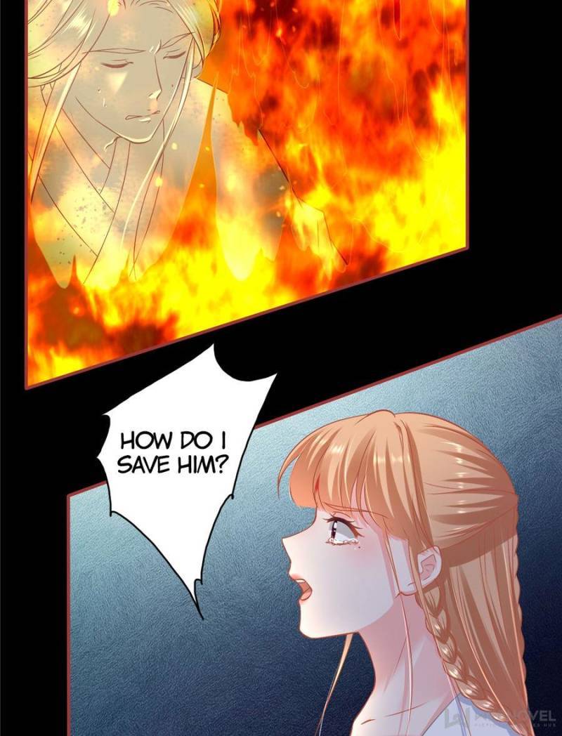 Page 13 of Chapter 233