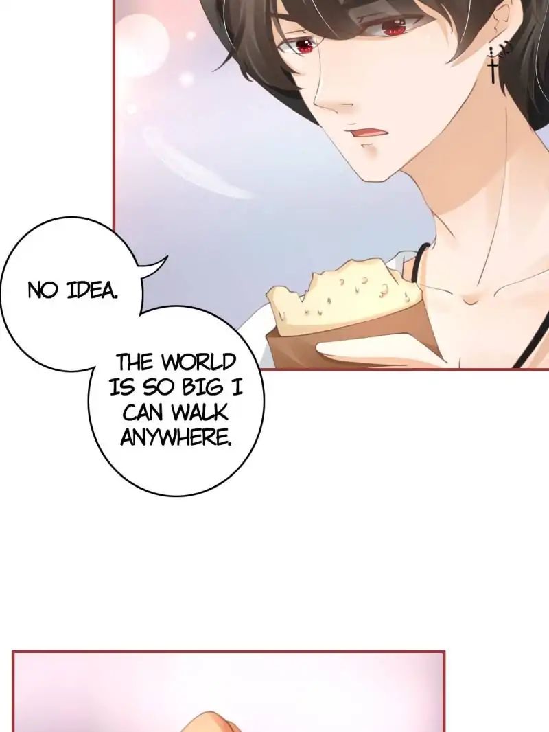 Page 4 of Chapter 41