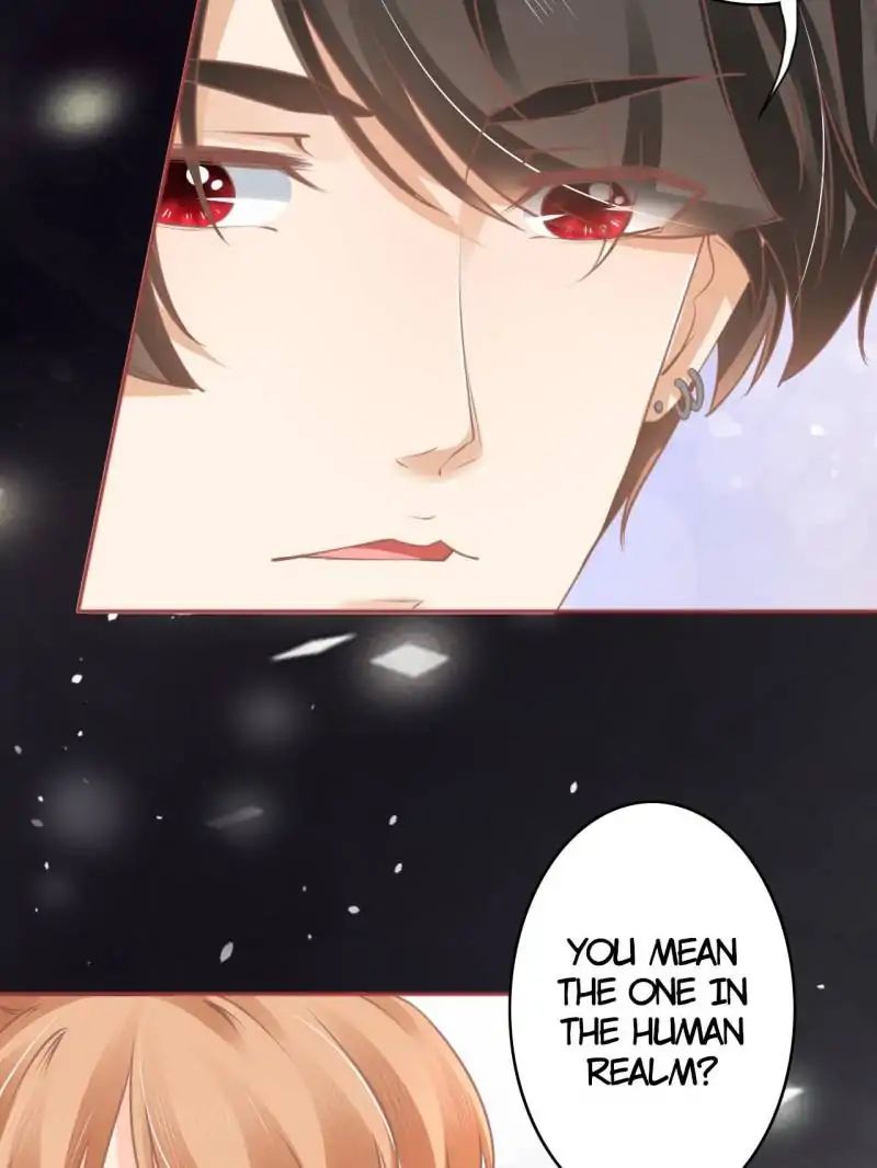 Page 51 of Chapter 56