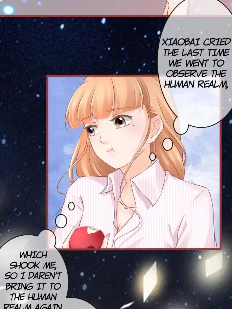 Page 4 of Chapter 74