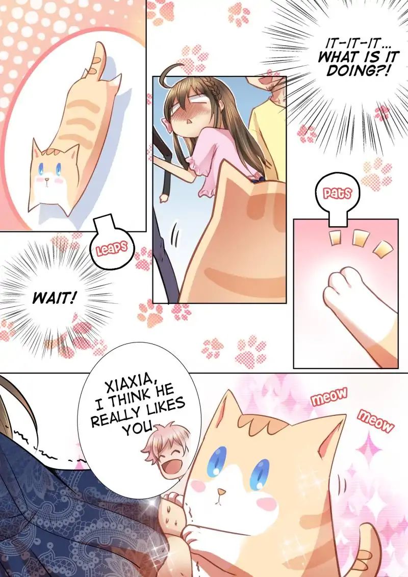 Page 3 of Chapter 39