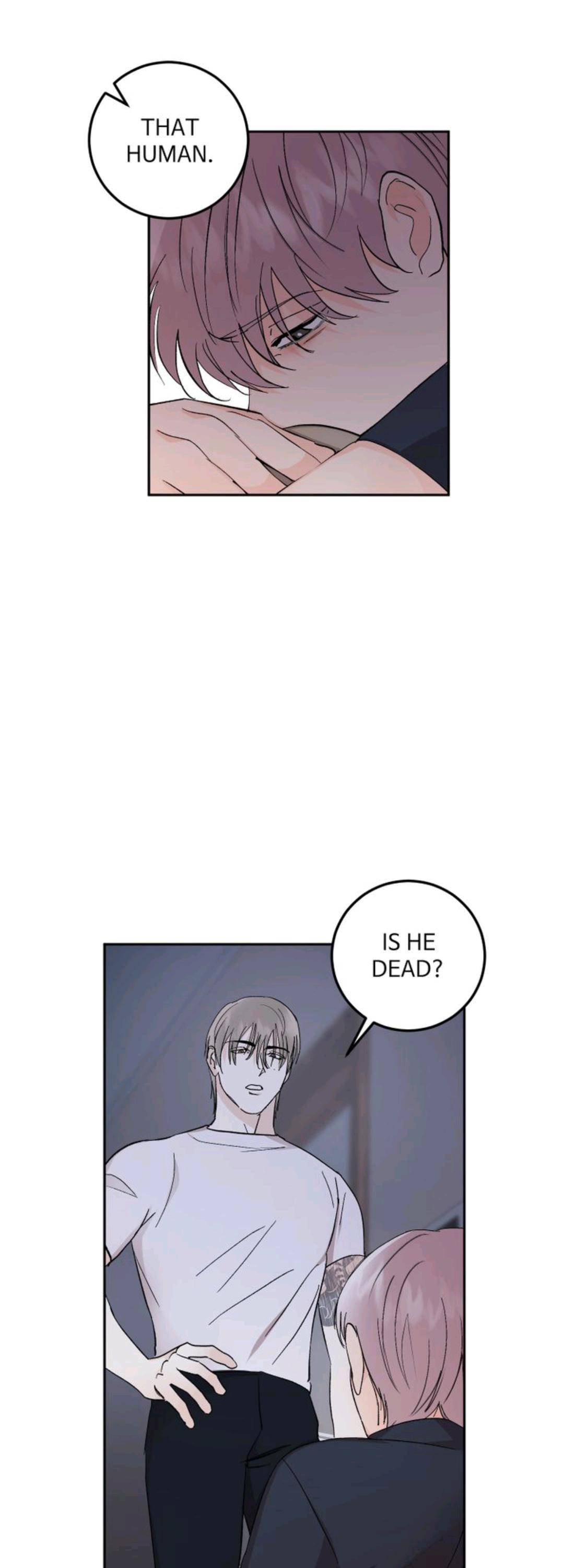 Page 17 of Chapter 35