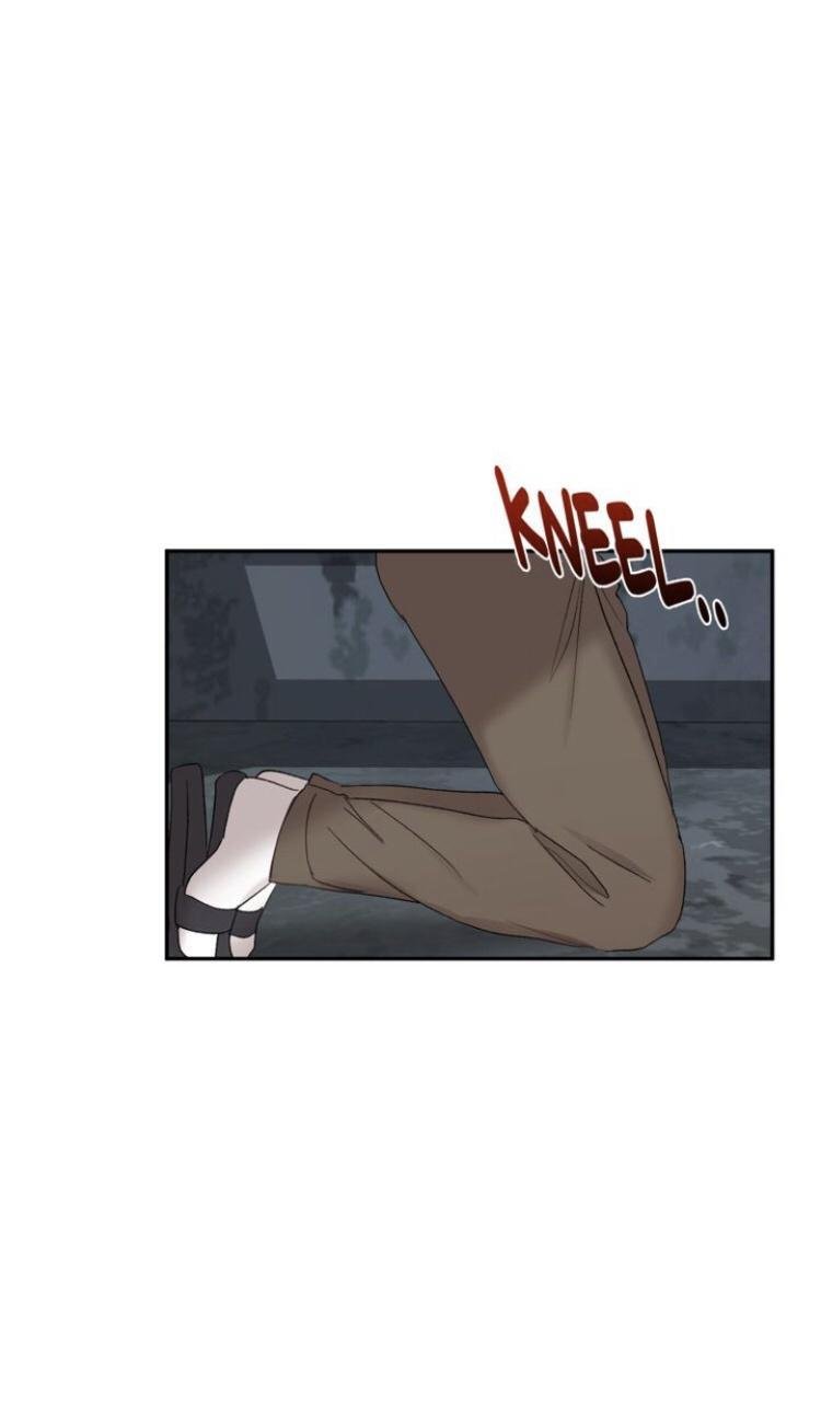 Page 13 of Chapter 8.1