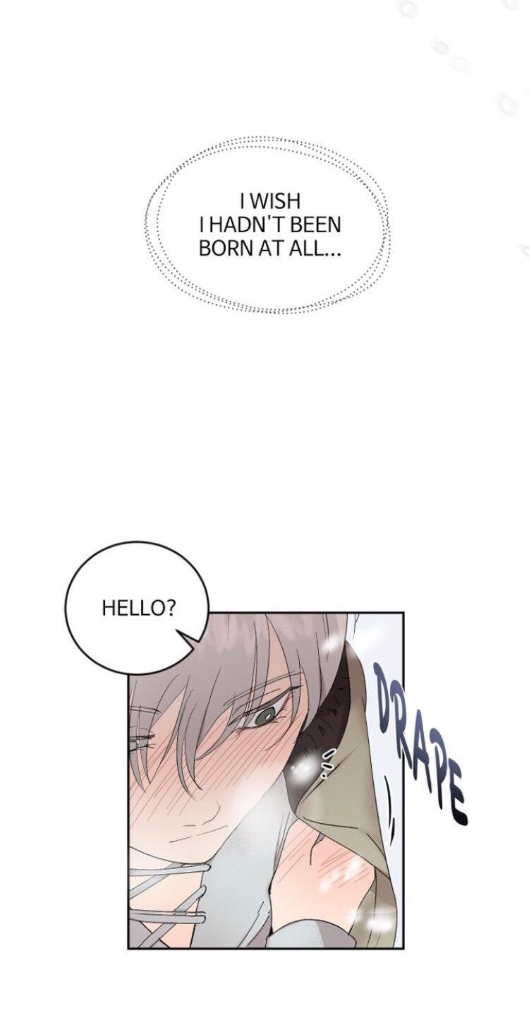 Page 24 of Chapter 8.1