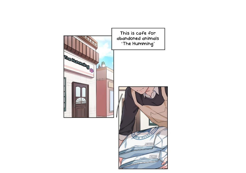 Page 8 of Chapter 1