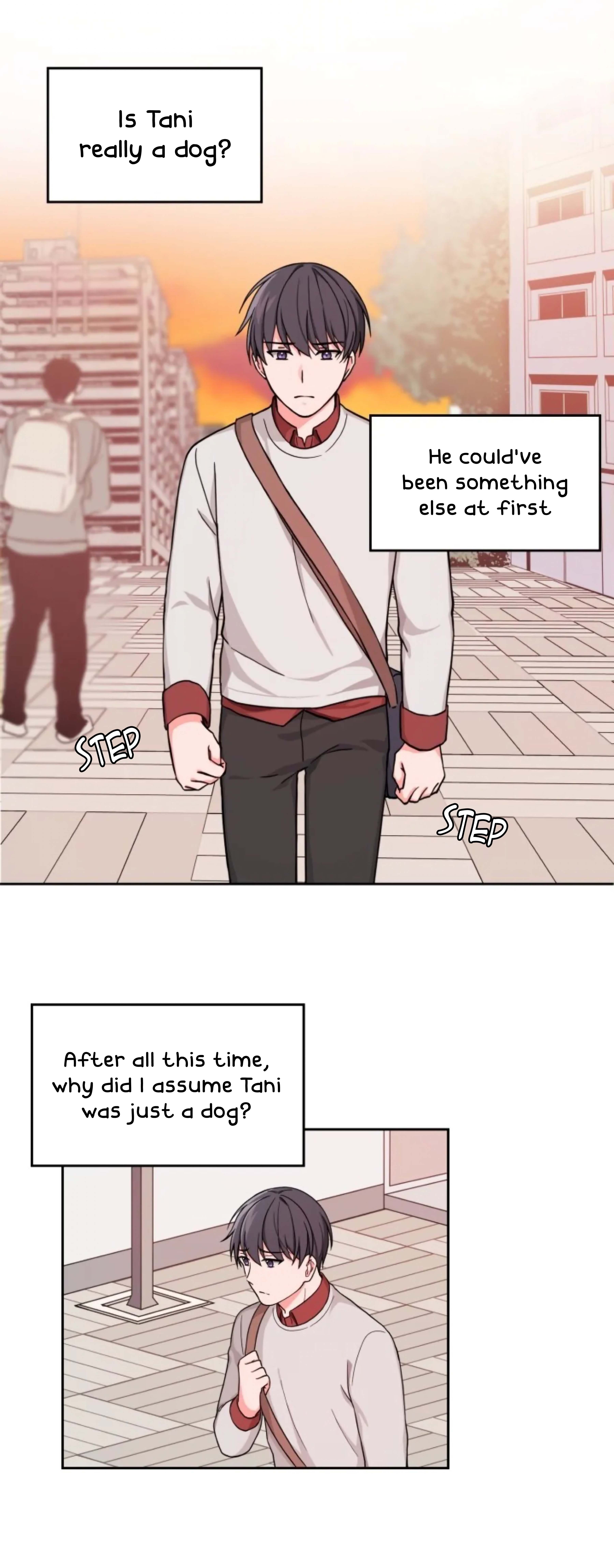 Page 17 of Chapter 11