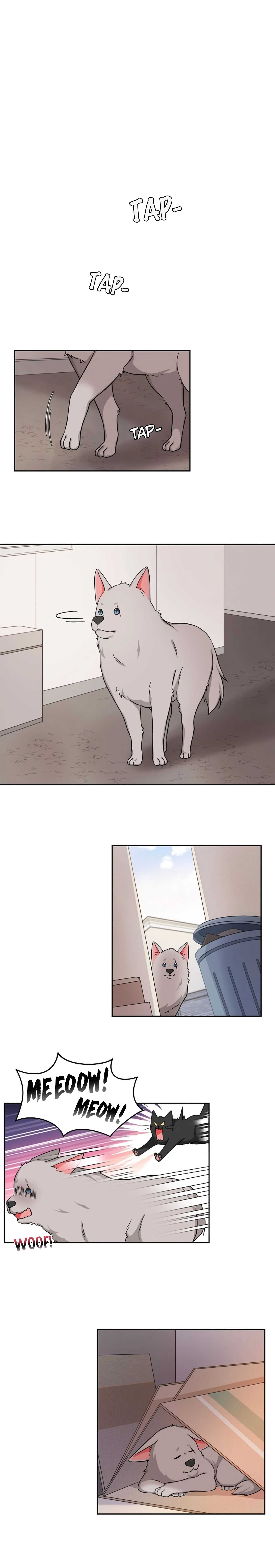 Page 12 of Chapter 17
