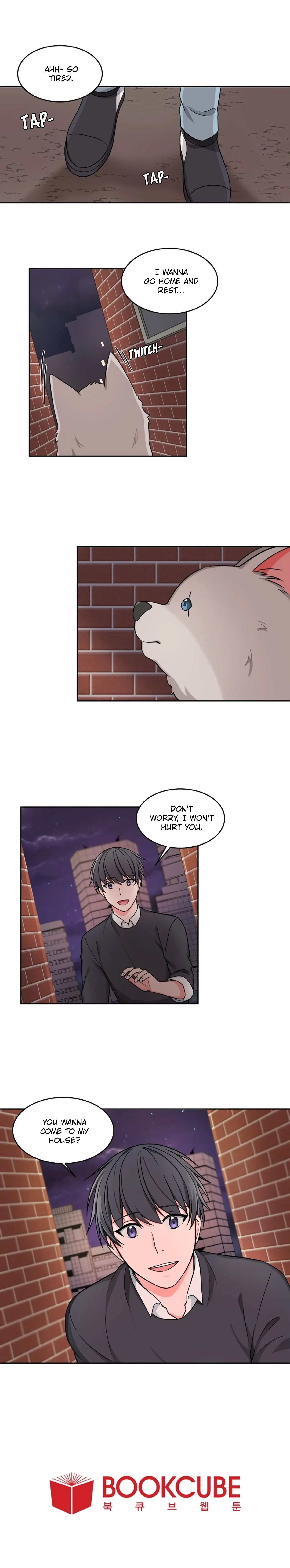 Page 13 of Chapter 17