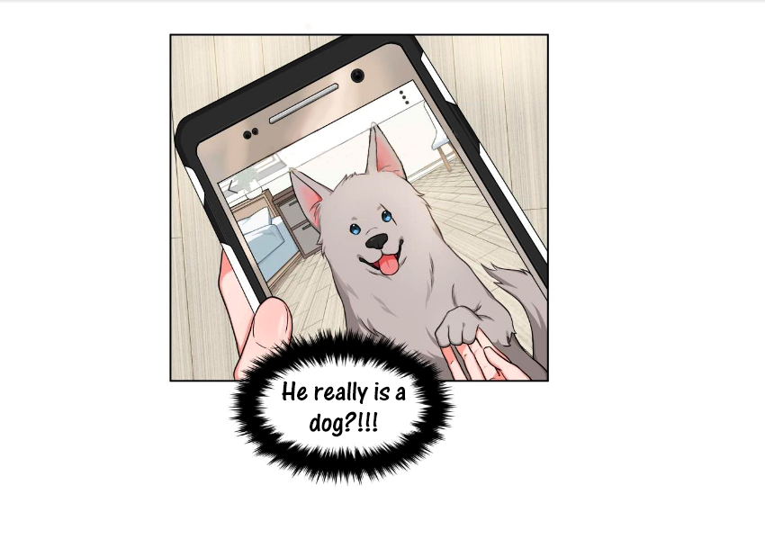 Page 15 of Chapter 2
