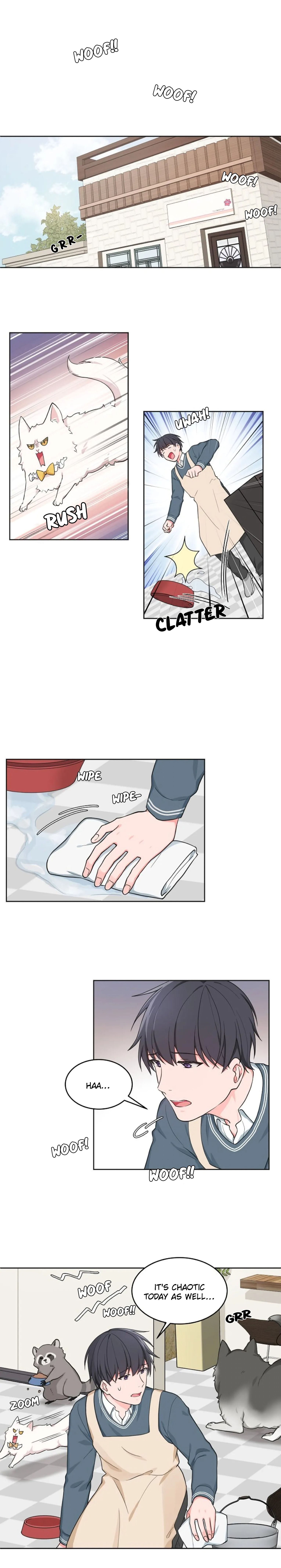 Page 11 of Chapter 29