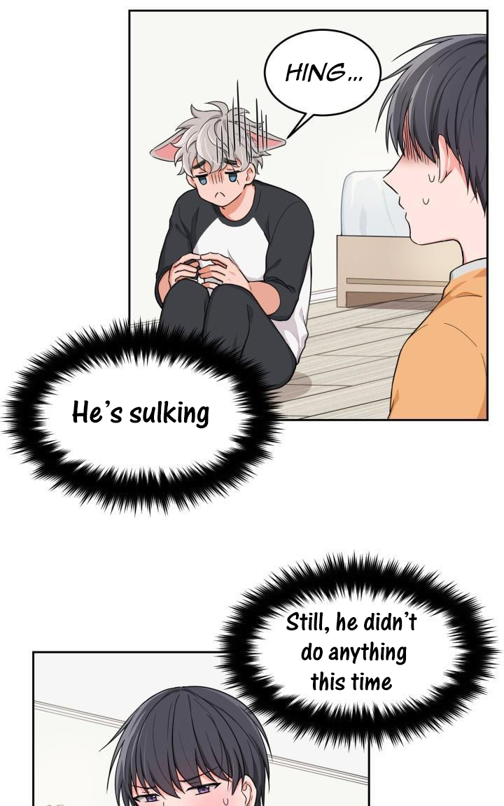 Page 19 of Chapter 3