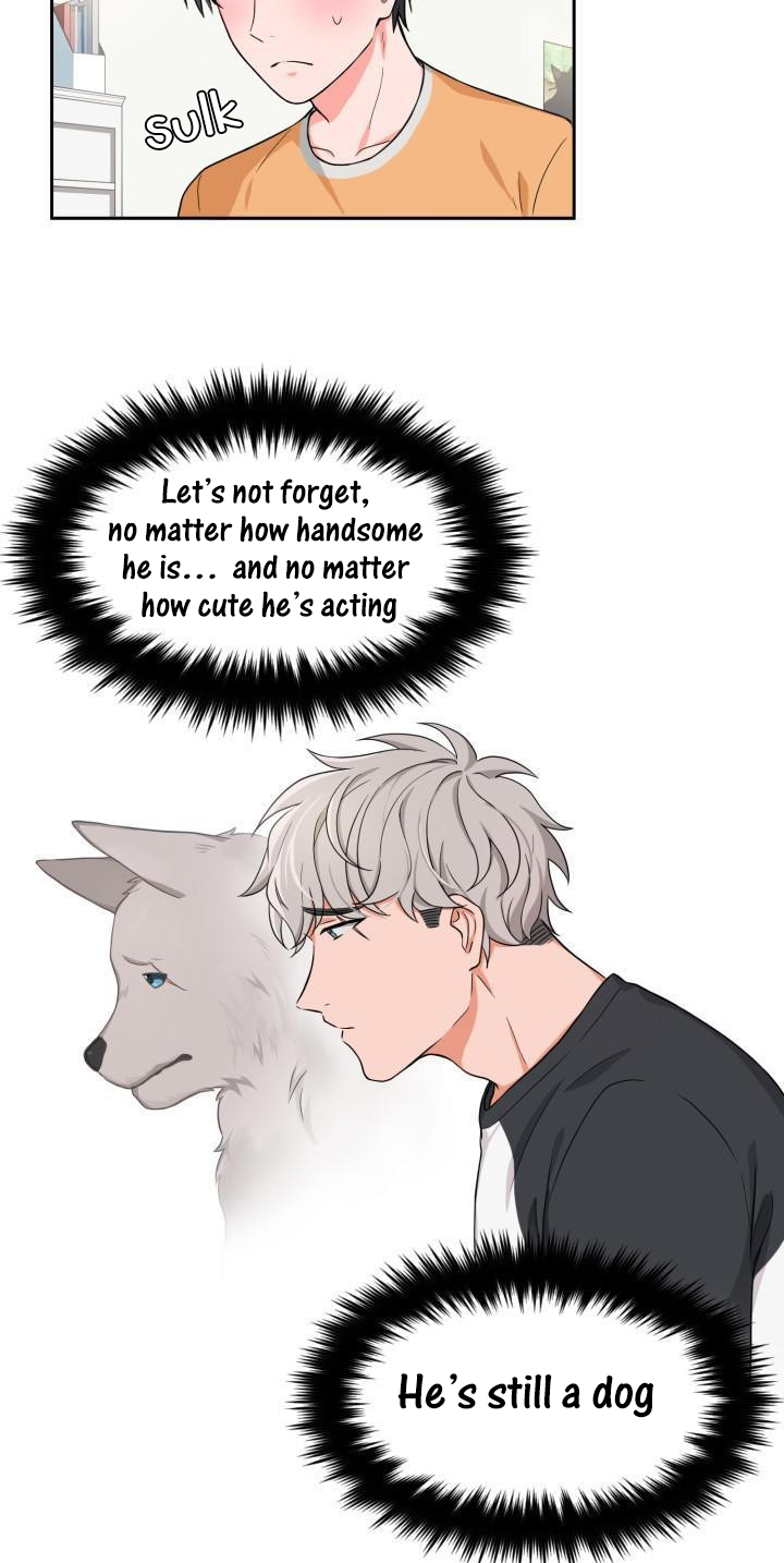 Page 20 of Chapter 3