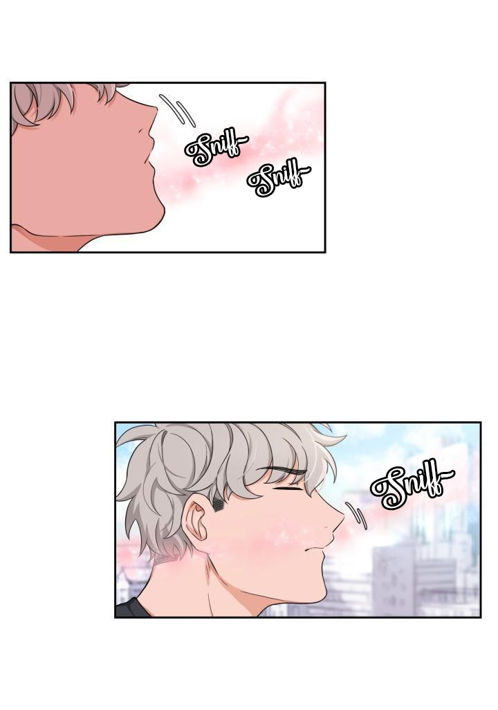 Page 1 of Chapter 4