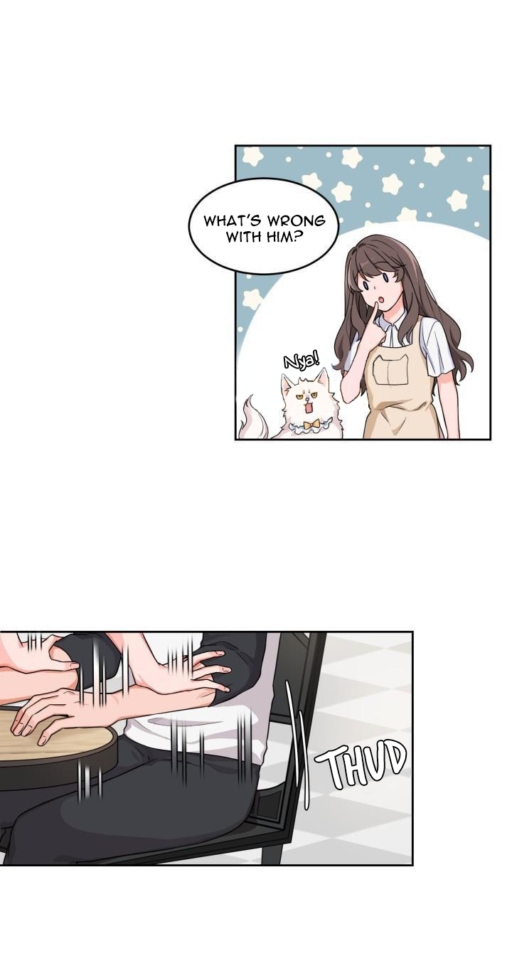 Page 19 of Chapter 4