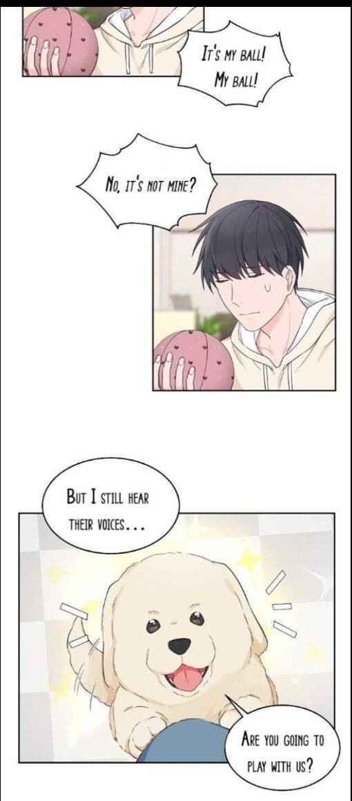 Page 17 of Chapter 46.3