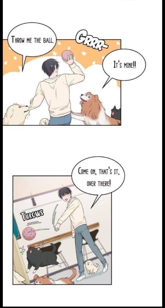 Page 18 of Chapter 46.3