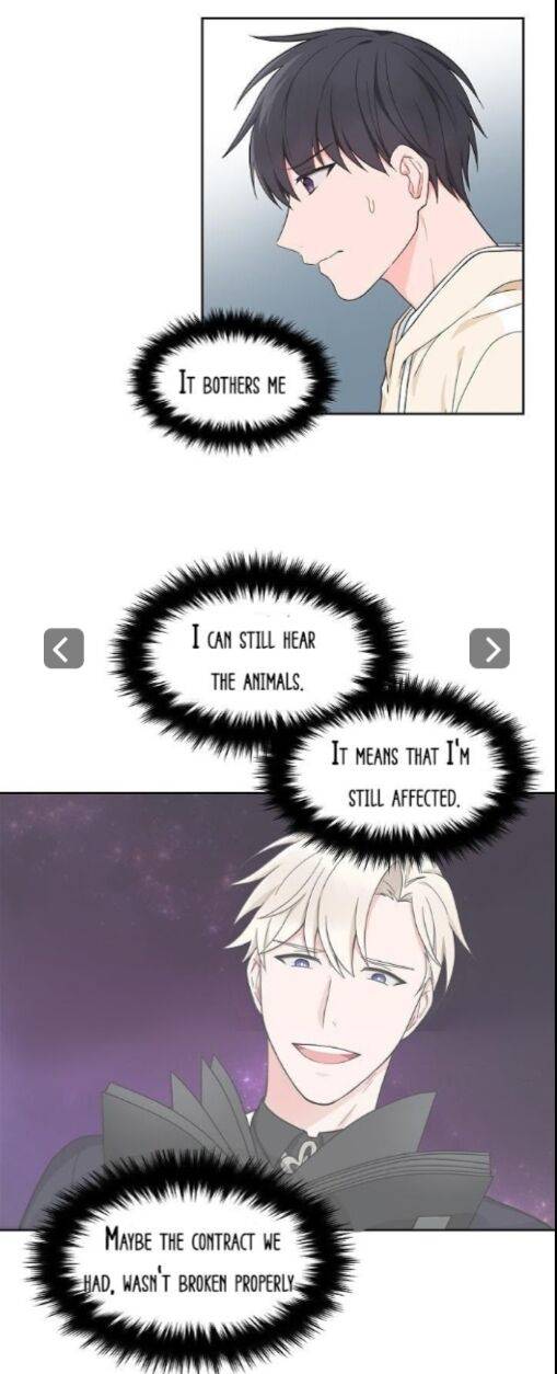 Page 19 of Chapter 46.3