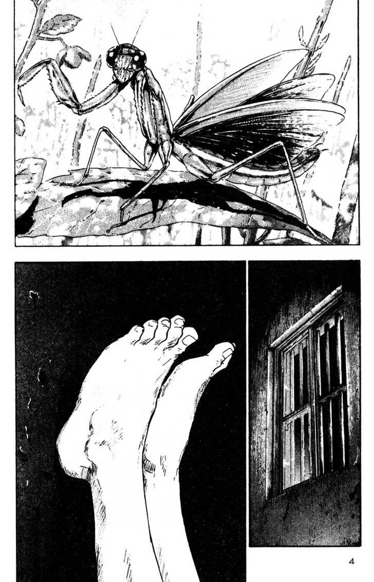 Page 6 of Chapter 11