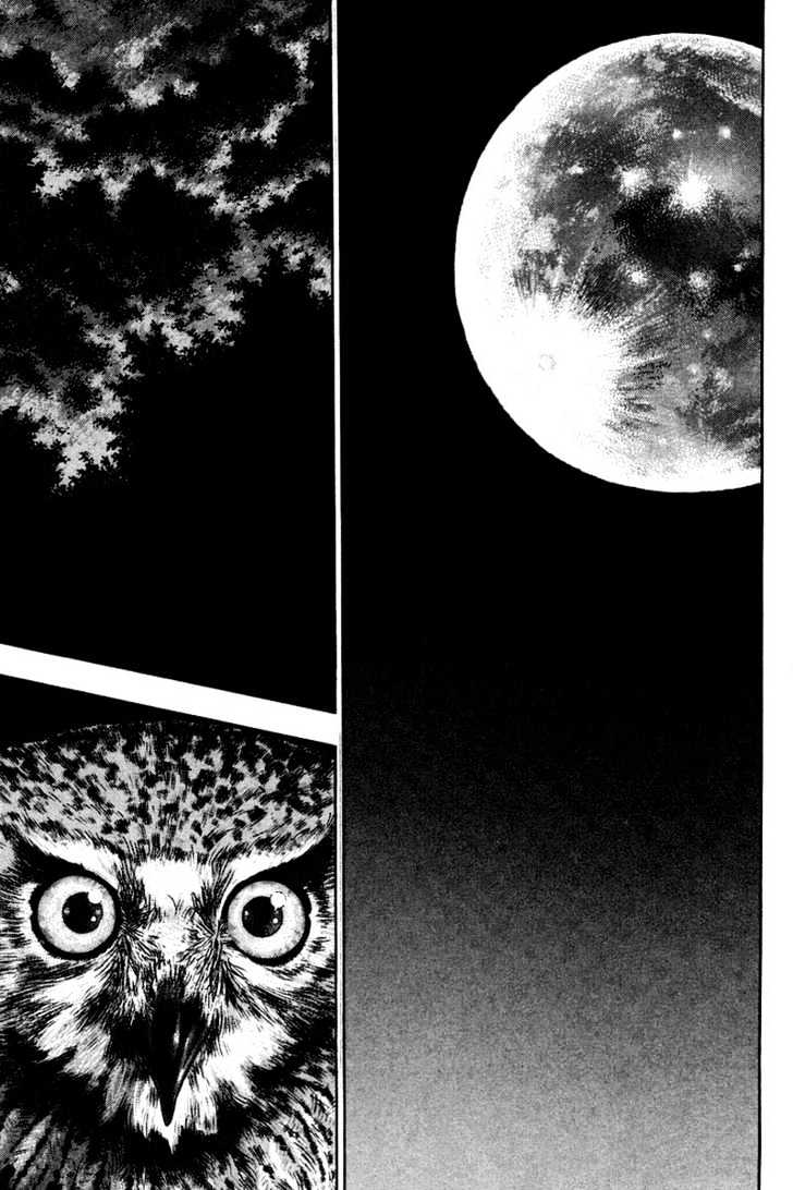 Page 3 of Chapter 118