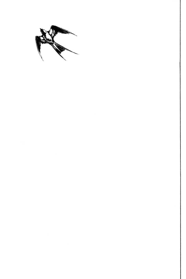 Page 15 of Chapter 156