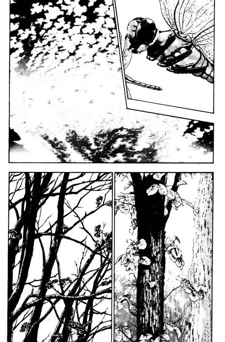 Page 4 of Chapter 17
