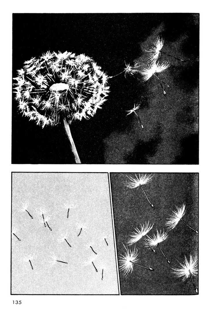Page 13 of Chapter 17