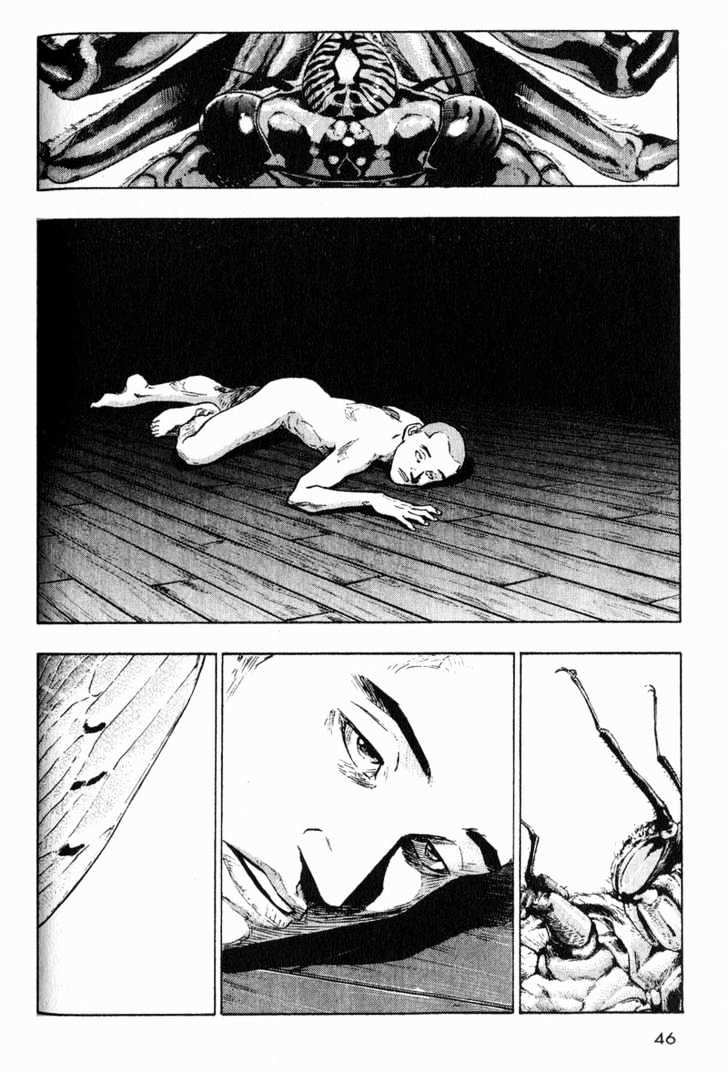 Page 17 of Chapter 2